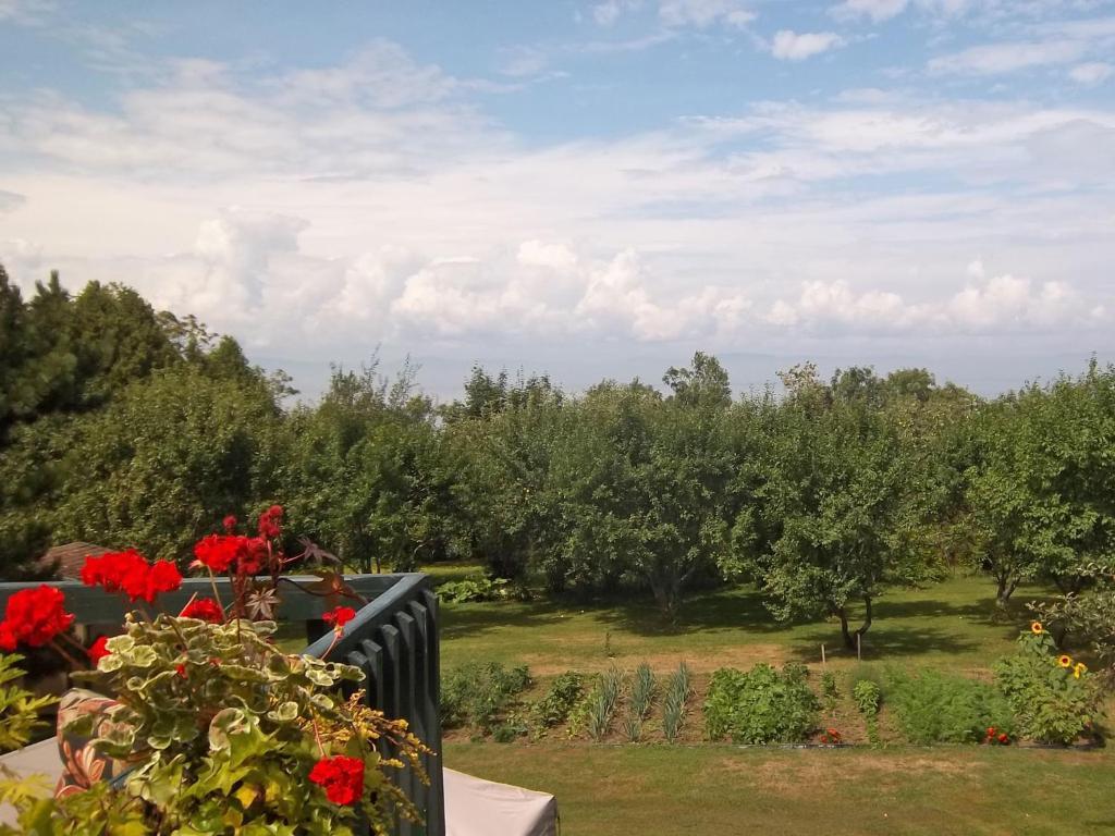 Gite La Halte Du Verger Bed And BreakfastRivière-du-Loup エクステリア 写真